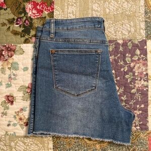 Judy Blue frayed hem shorts